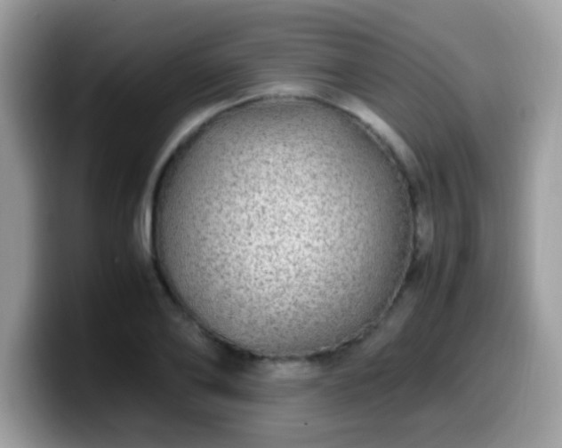 X0000099990886200805301411