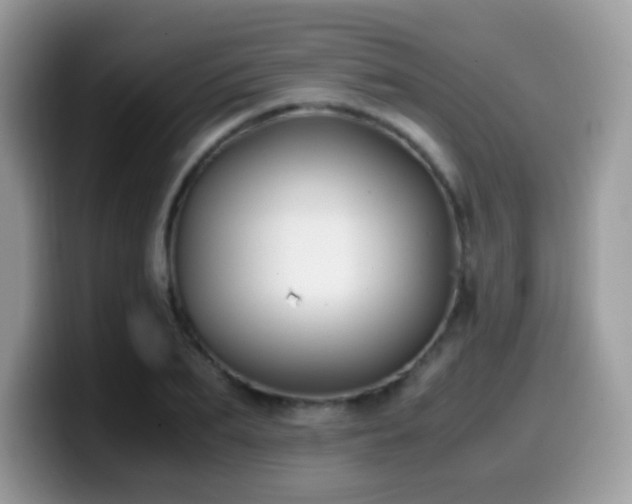 X0000099990887200805301411