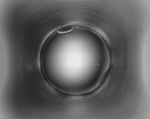 X0000099990888200805301411