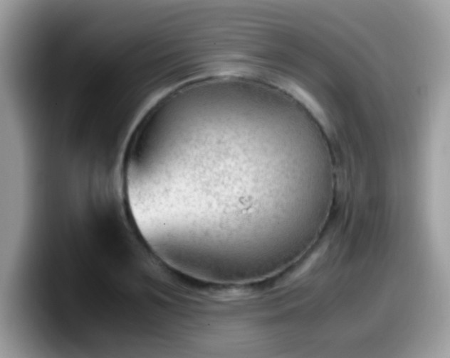 X0000099990891200805301411