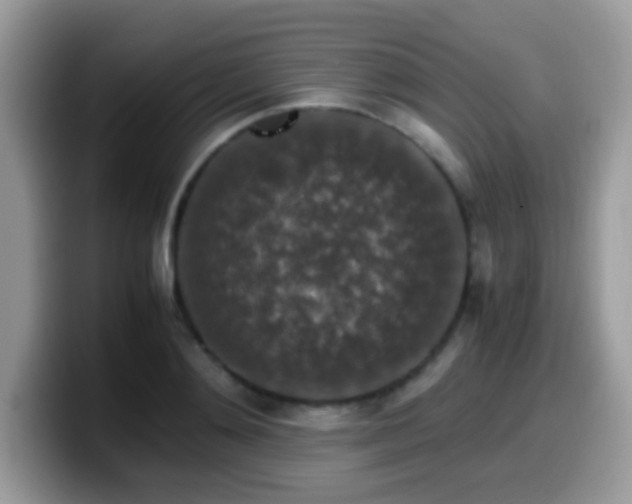 X0000099990892200805301411