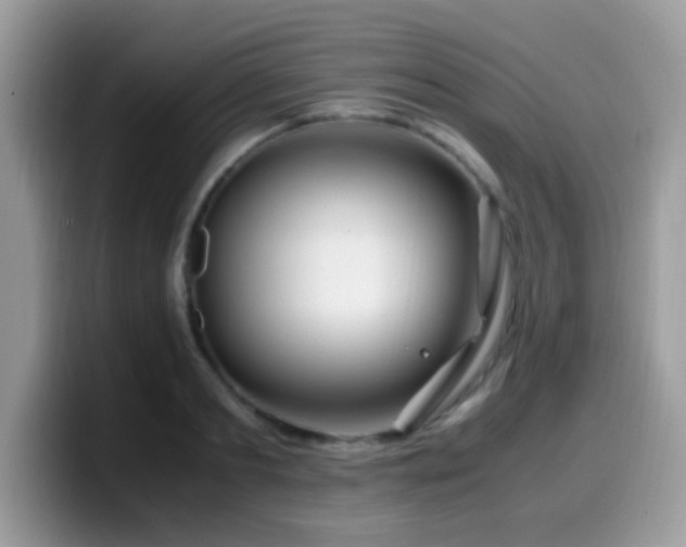 X0000099990893200805301411