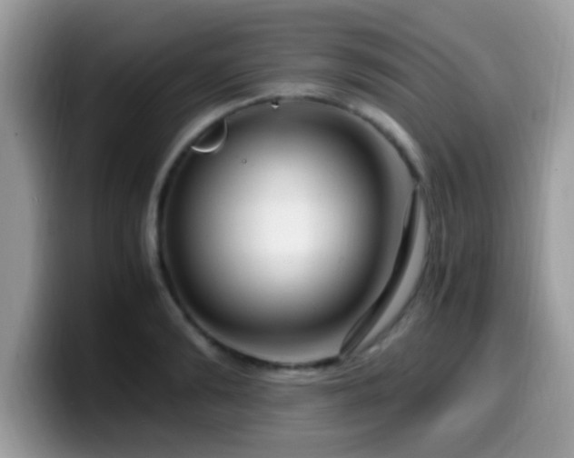 X0000099990894200805301411