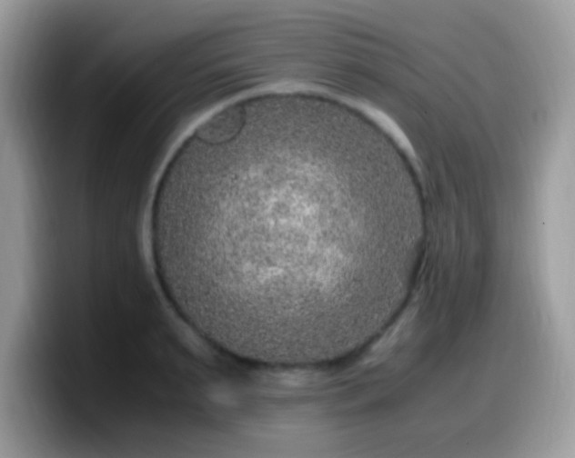 X0000099990895200805301411