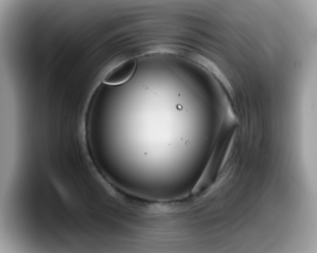 X0000099990898200805301411