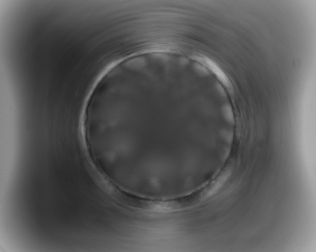 X0000099990899200805301411