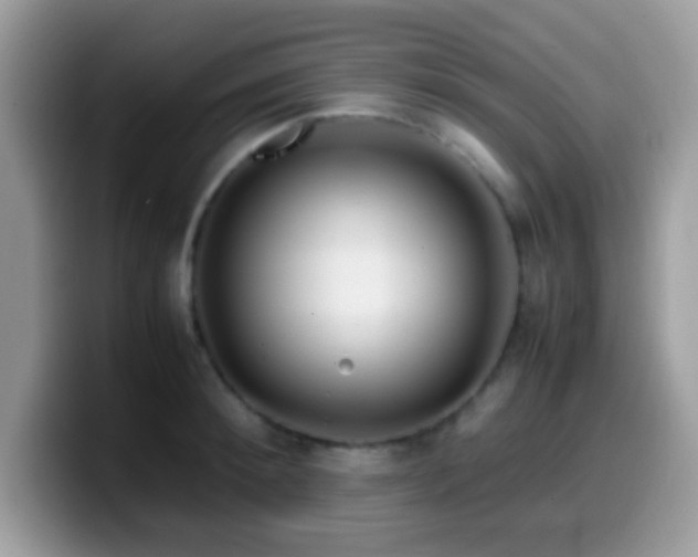 X0000099990900200805301411