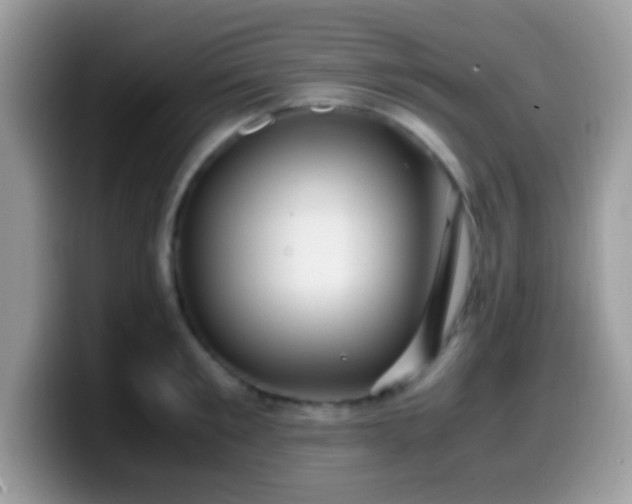 X0000099990901200805301411