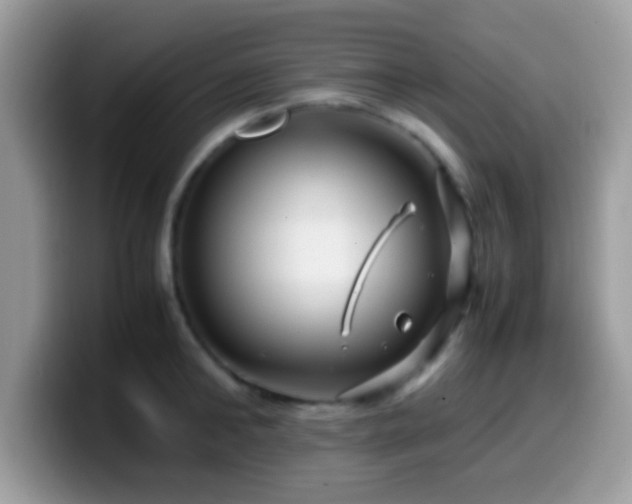 X0000099990902200805301411
