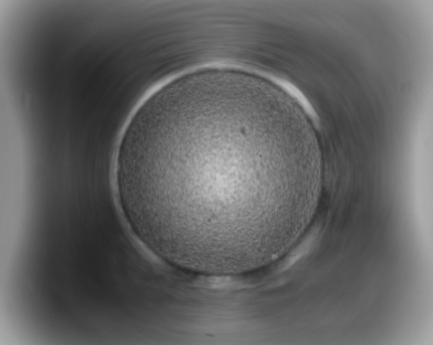 X0000099990903200805301411