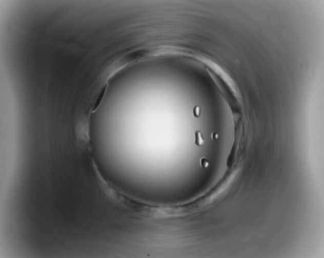 X0000099990905200805301411