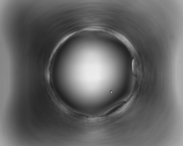 X0000099990908200805301411