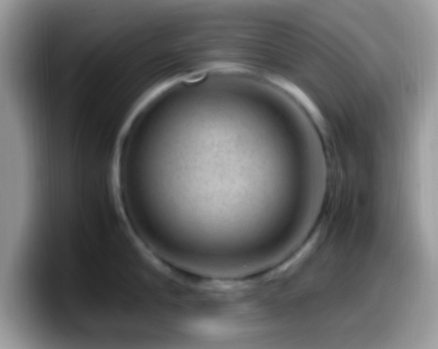 X0000099990910200805301411