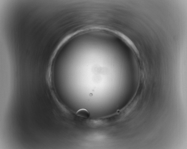 X0000099990911200805301411