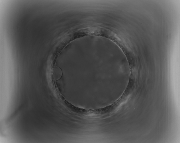 X0000099990913200805301410