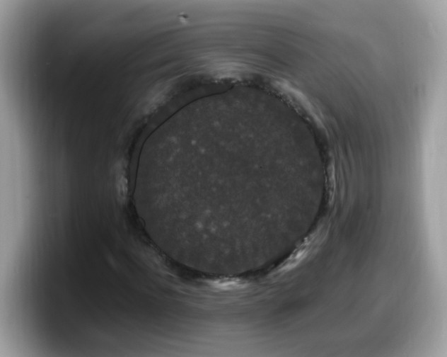 X0000099990916200805301410