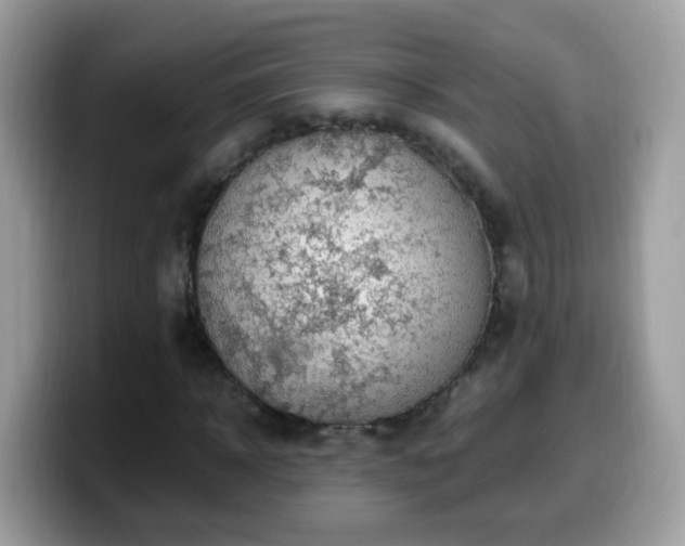 X0000099990918200805301410