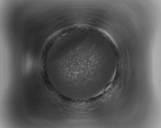 X0000099990919200805301410