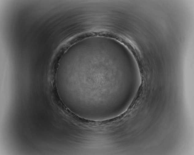 X0000099990920200805301410
