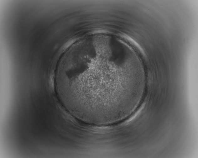 X0000099990921200805301410