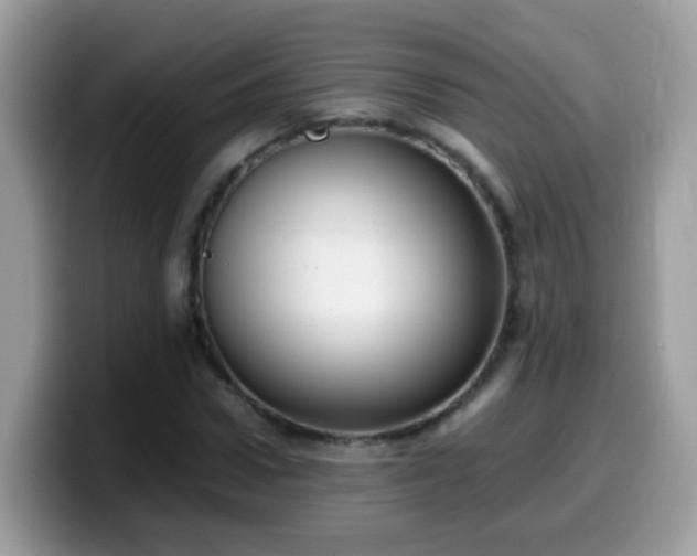X0000099990922200805301410