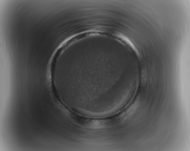 X0000099990923200805301410