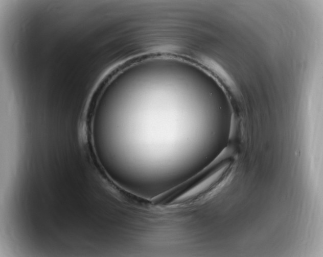 X0000099990924200805301410