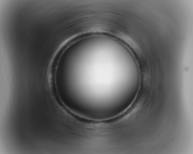 X0000099990926200805301410