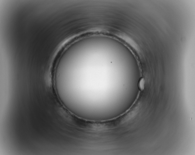 X0000099990927200805301410