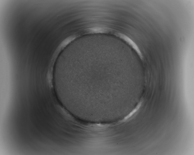 X0000099990930200805301410
