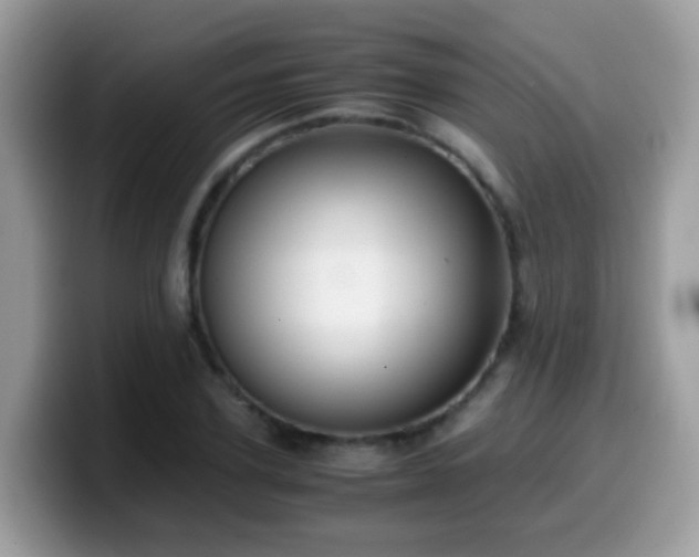 X0000099990931200805301410