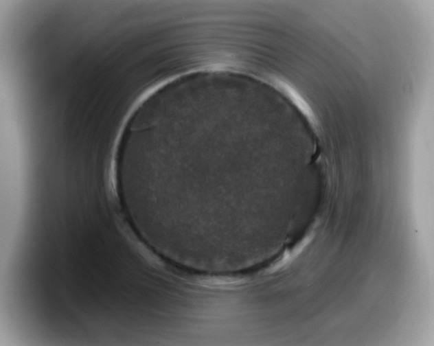 X0000099990932200805301410