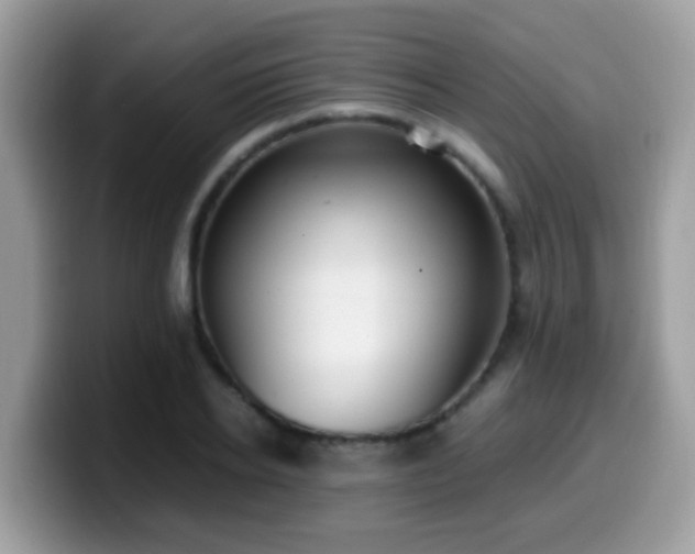 X0000099990934200805301410
