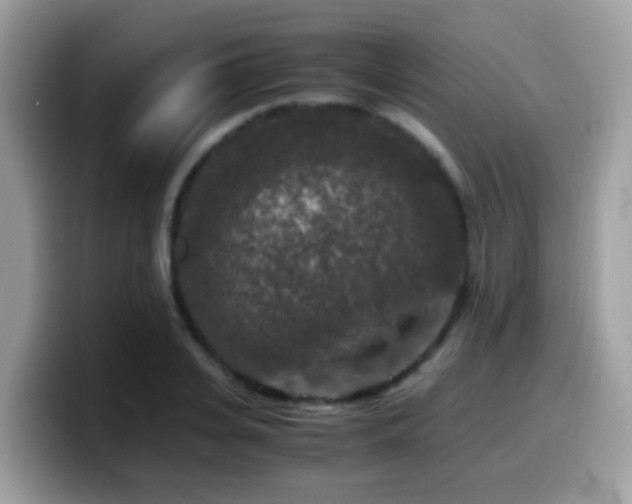 X0000099990935200805301410
