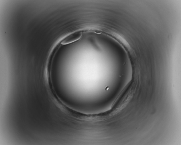 X0000099990936200805301410