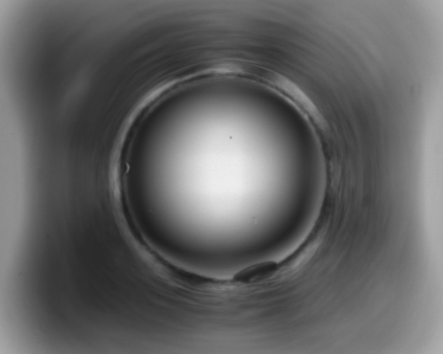 X0000099990939200805301410