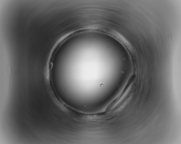 X0000099990940200805301410