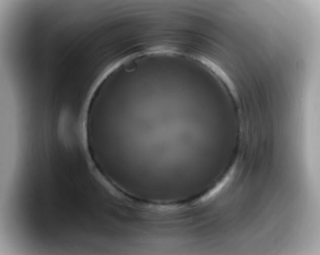X0000099990941200805301410