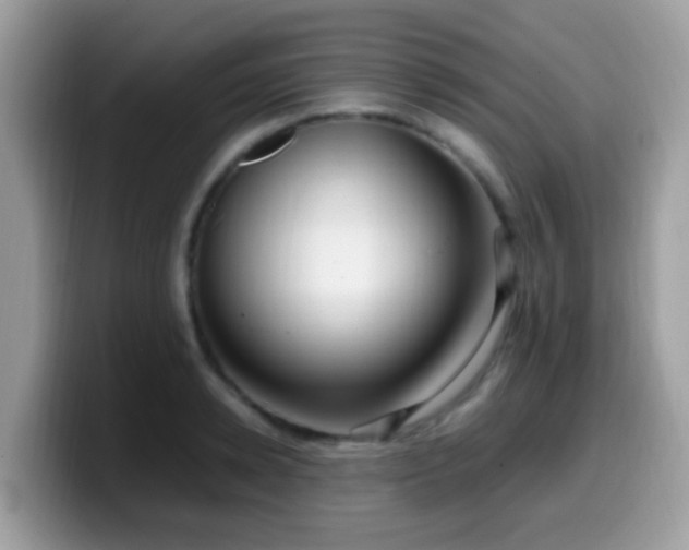 X0000099990942200805301410