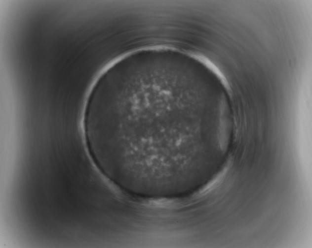 X0000099990943200805301410