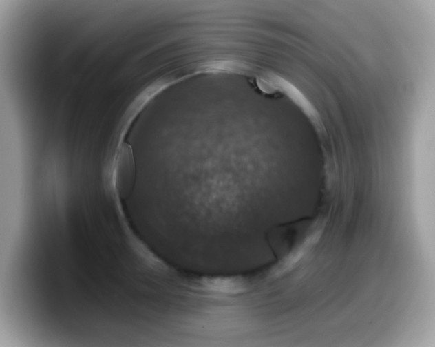 X0000099990946200805301410