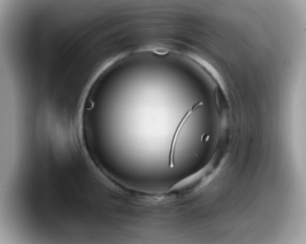 X0000099990949200805301410