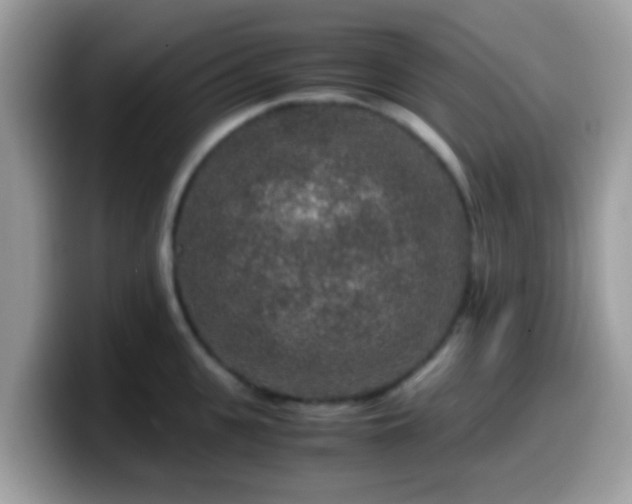 X0000099990951200805301410