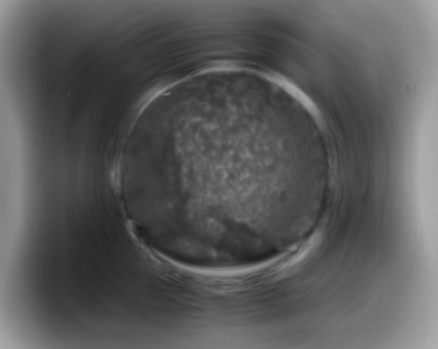 X0000099990953200805301410