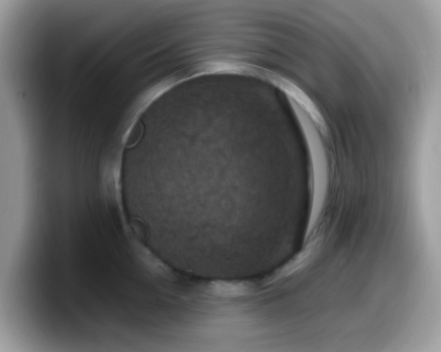 X0000099990954200805301410
