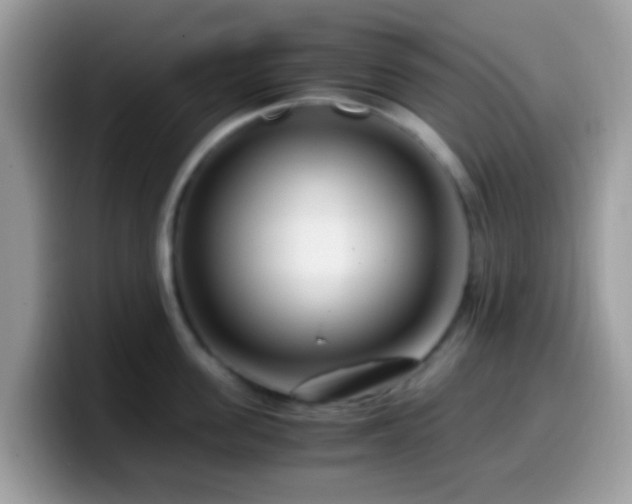 X0000099990955200805301410