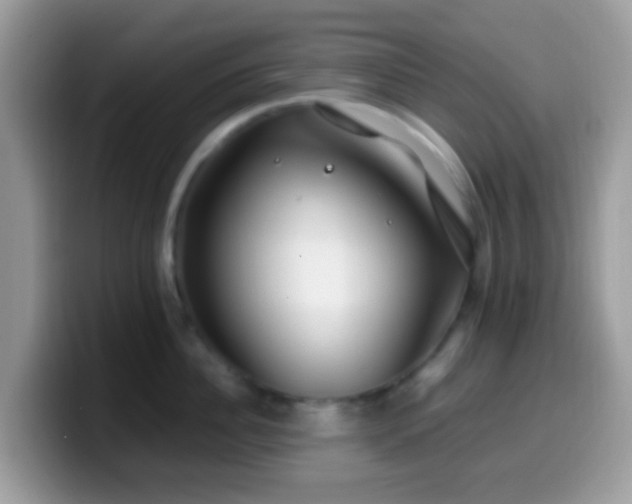 X0000099990956200805301410