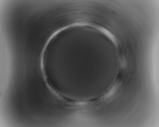 X0000099990958200805301410