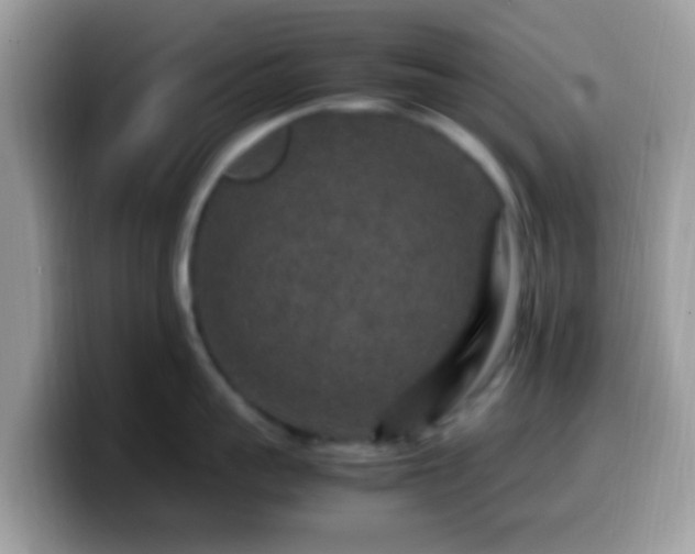 X0000099990959200805301410
