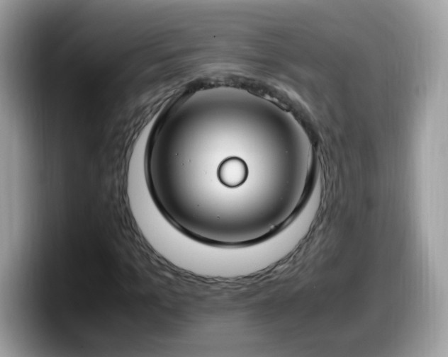 X0000099990965200805301410